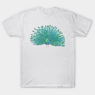 Peacock Digital Painting T-Shirt